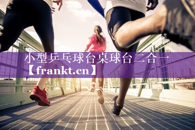 小型乒乓球台桌球台二合一
