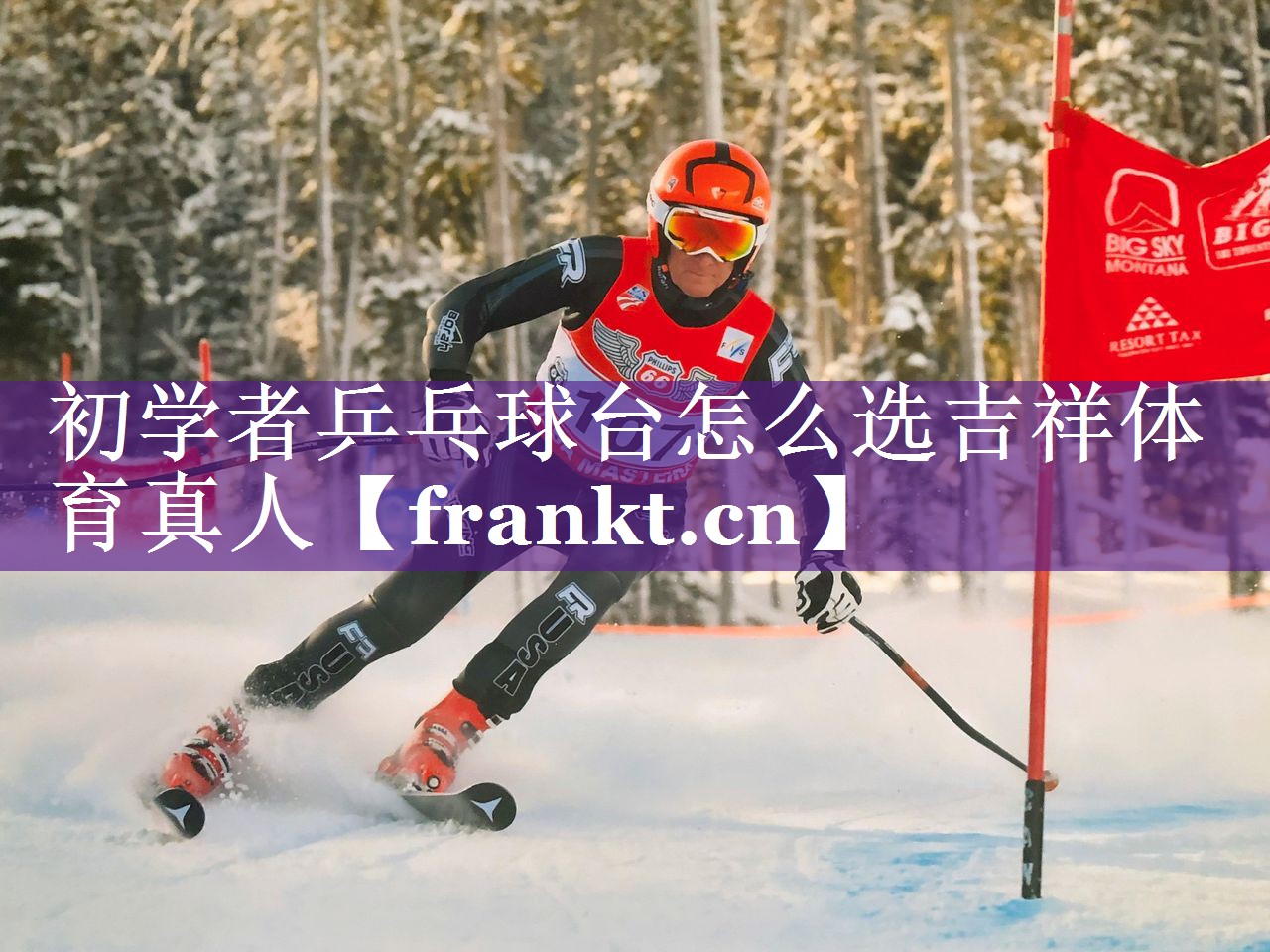 初学者乒乓球台怎么选吉祥体育真人