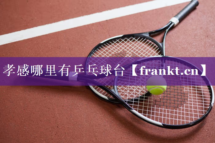 孝感哪里有乒乓球台 孝感哪里有乒乓球台