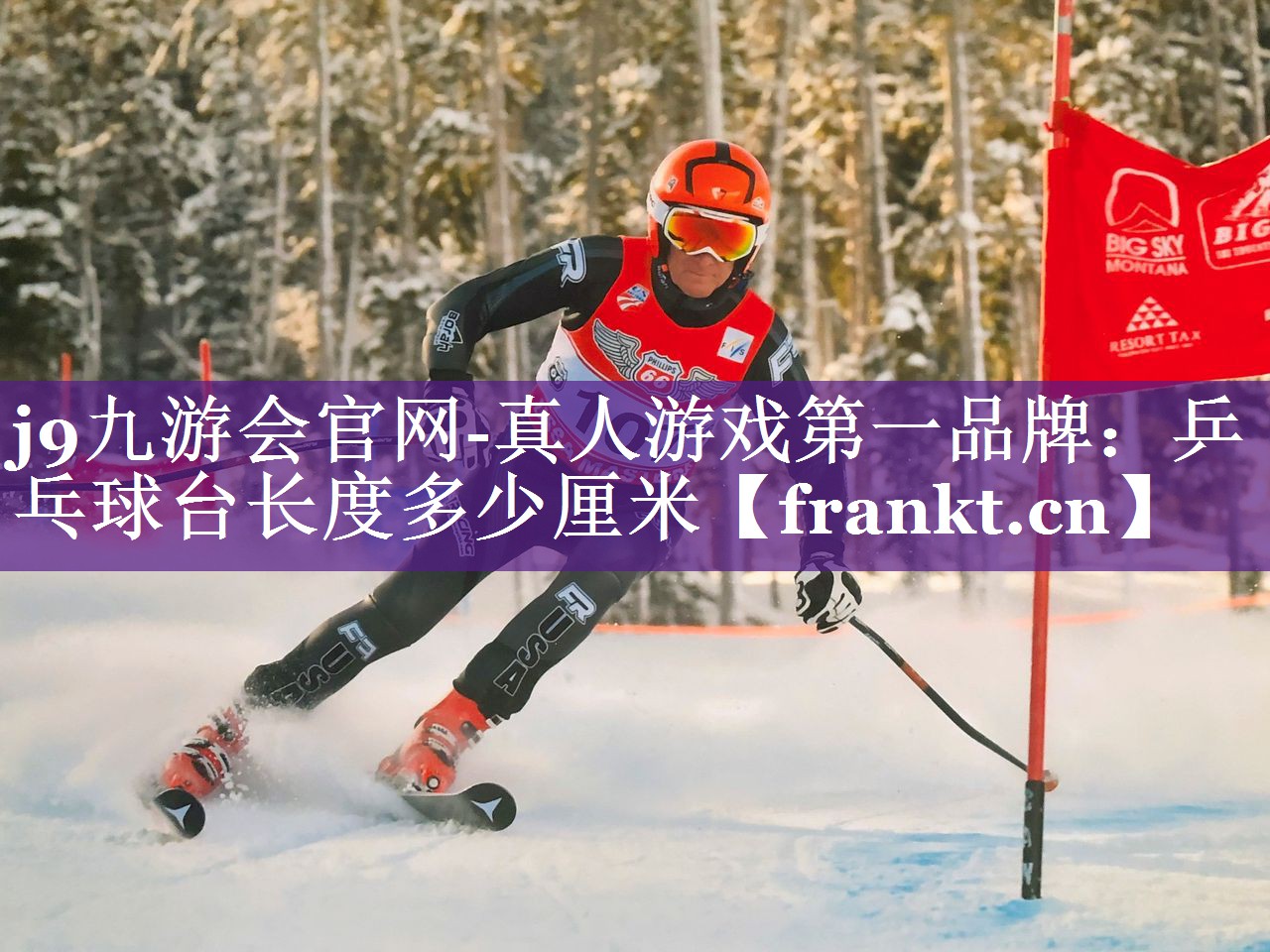 乒乓球台长度多少厘米 乒乓球台长度多少厘米