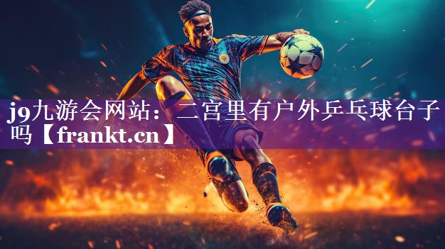 二宫里有户外乒乓球台子吗