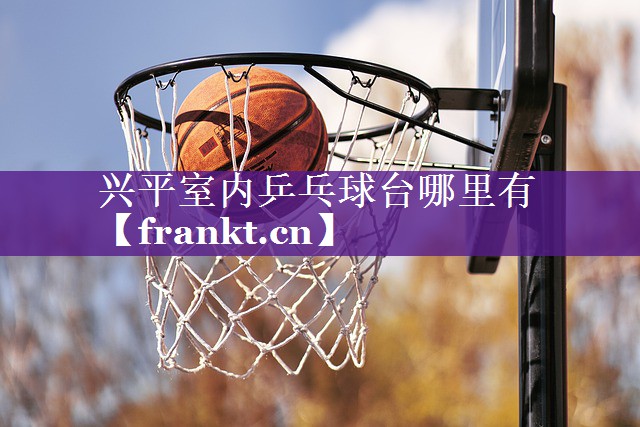 兴平室内乒乓球台哪里有 兴平室内乒乓球台哪里有